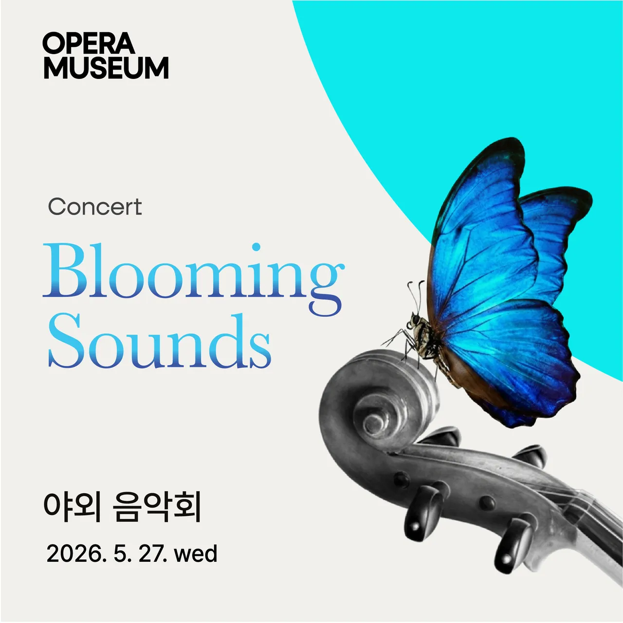 야외 음악회 Blooming Sounds